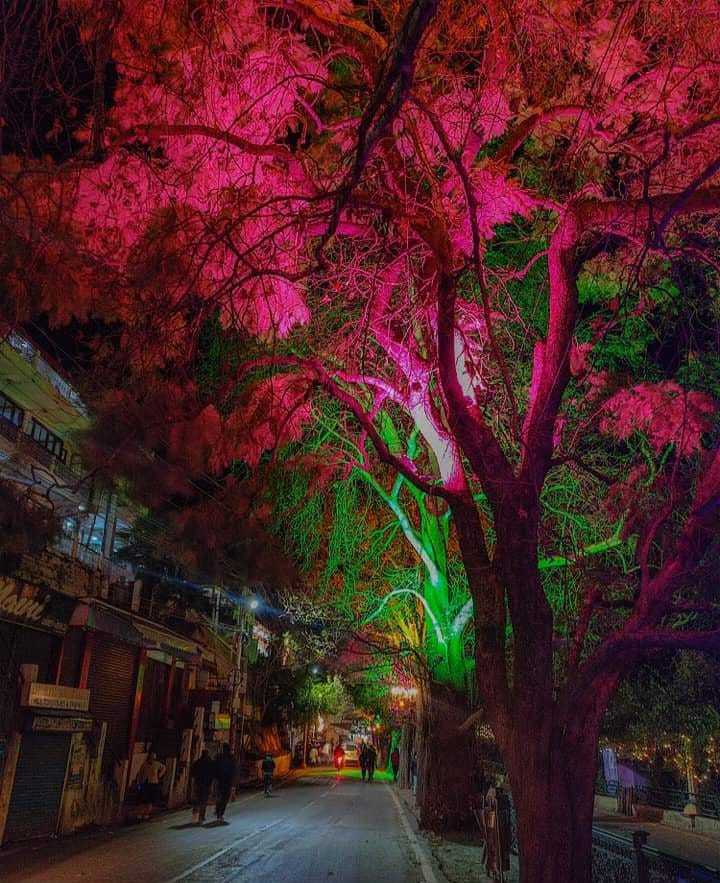 Nainital