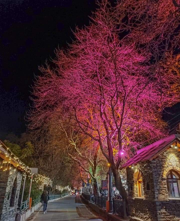Nainital