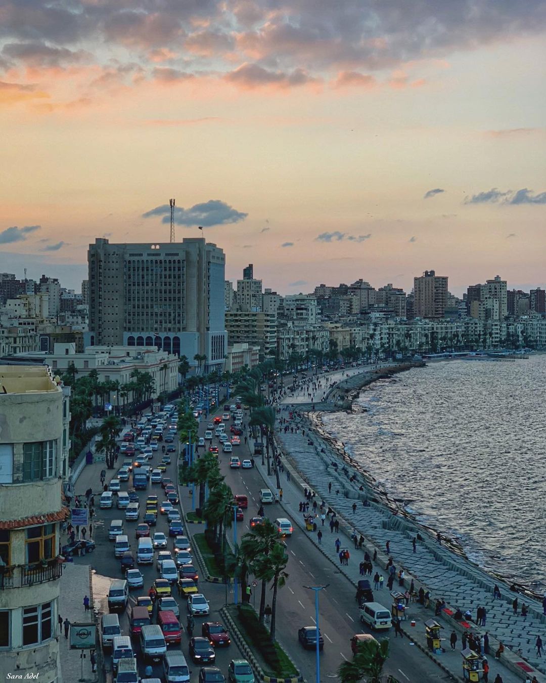 अलेक्जेंड्रिया (Photo/Instagram)