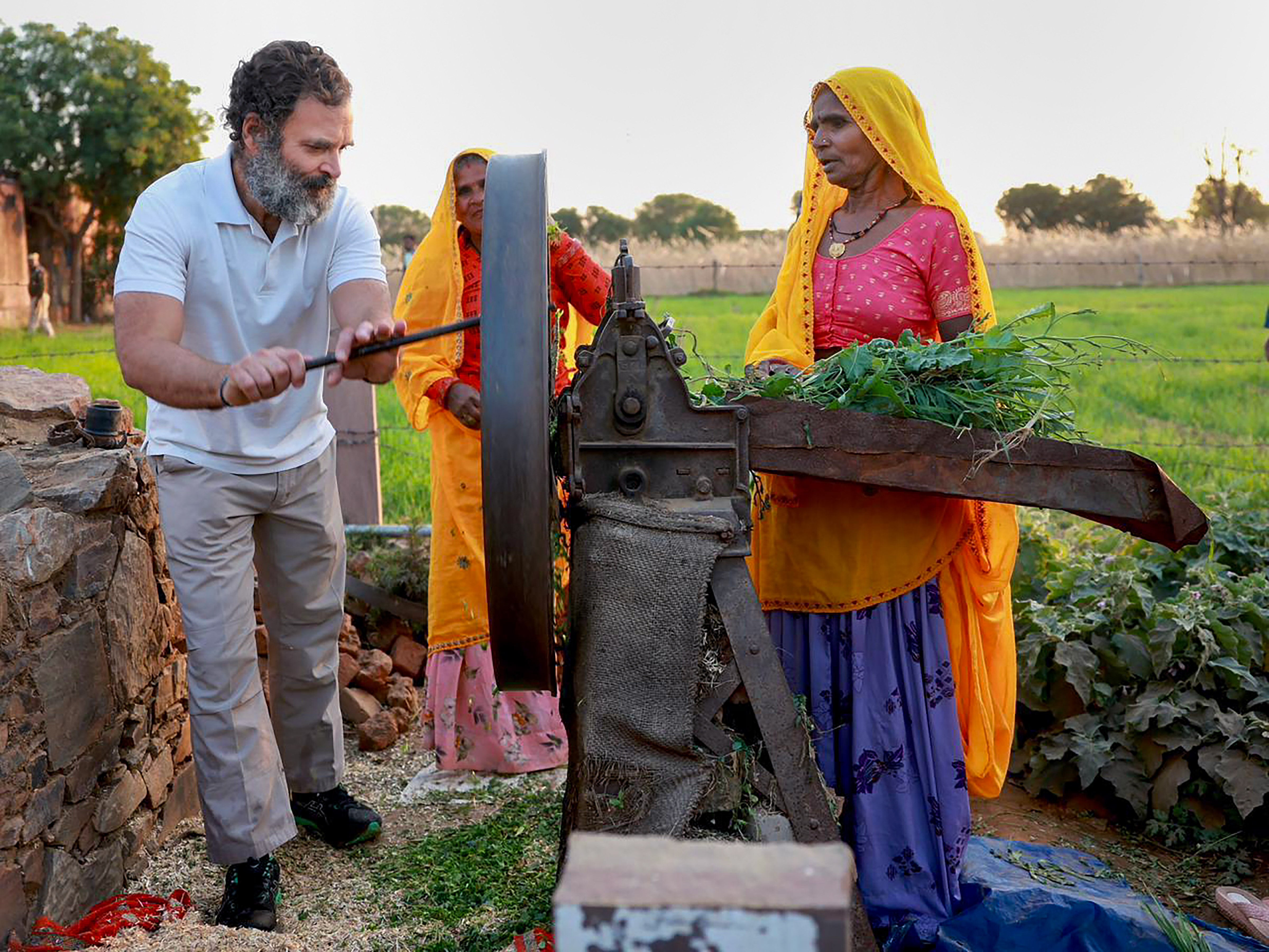 दौसा में भारत जोड़ो यात्रा