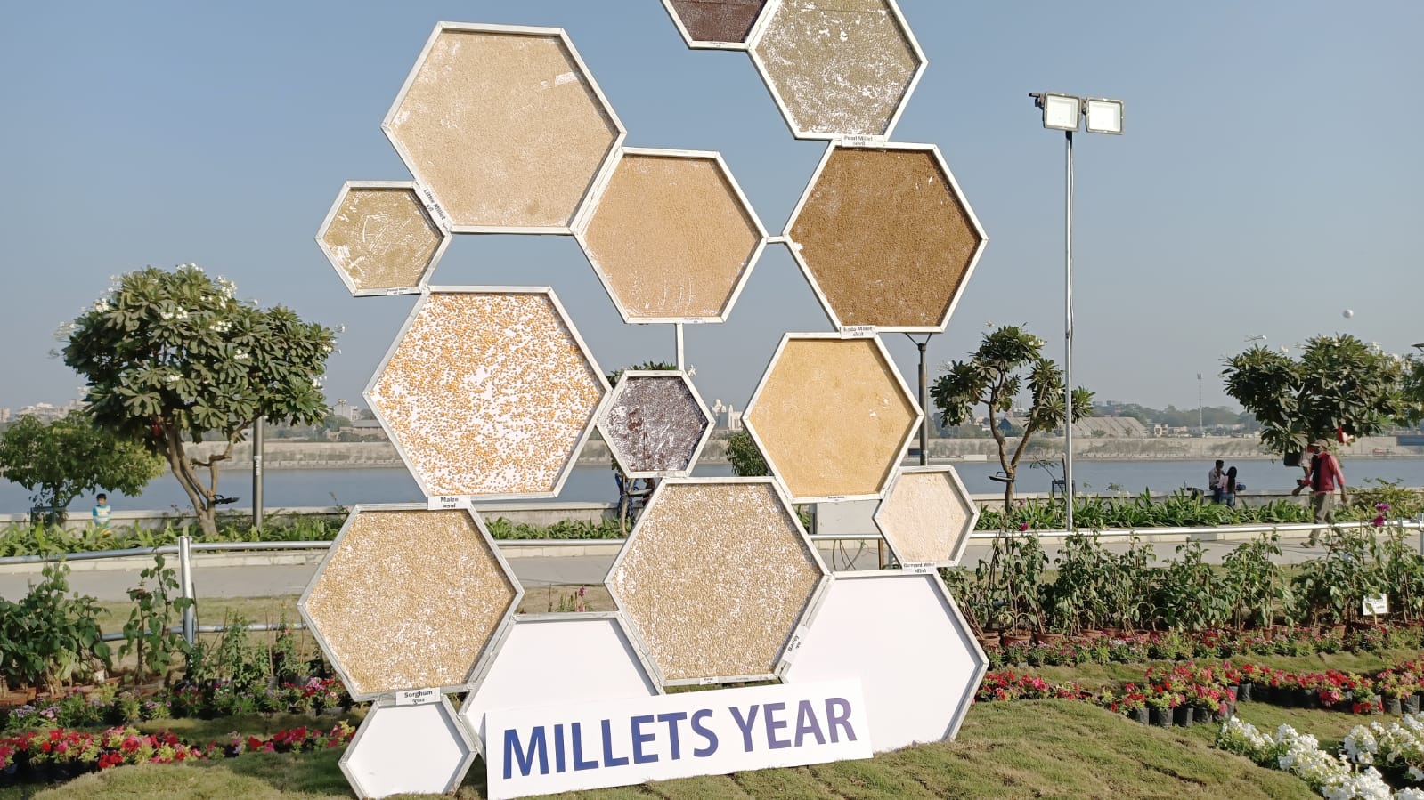 Millet Year 2023