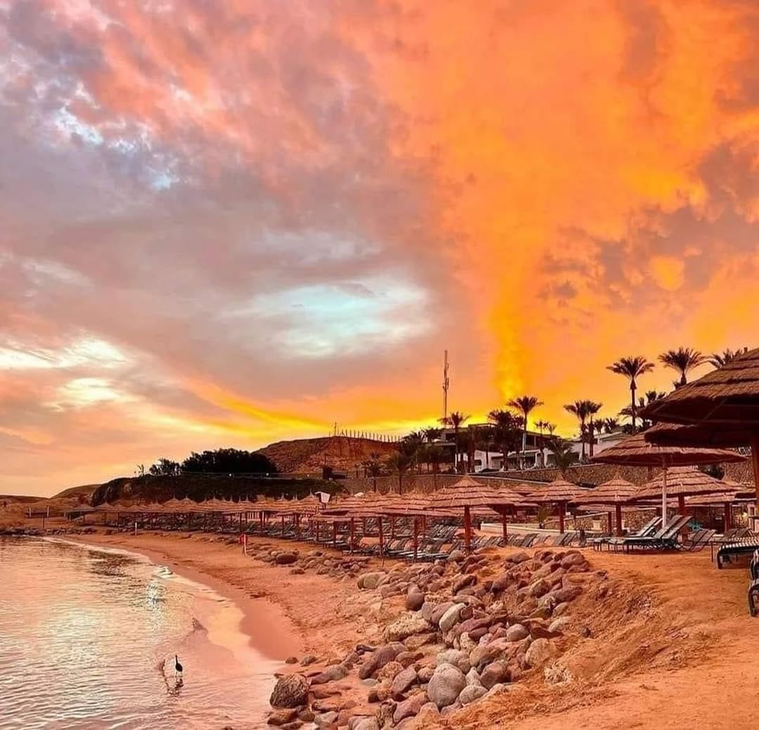 शर्म अल शेख मिस्र (Photo/Instagram)