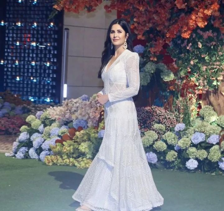 Anant Radhika Engagement