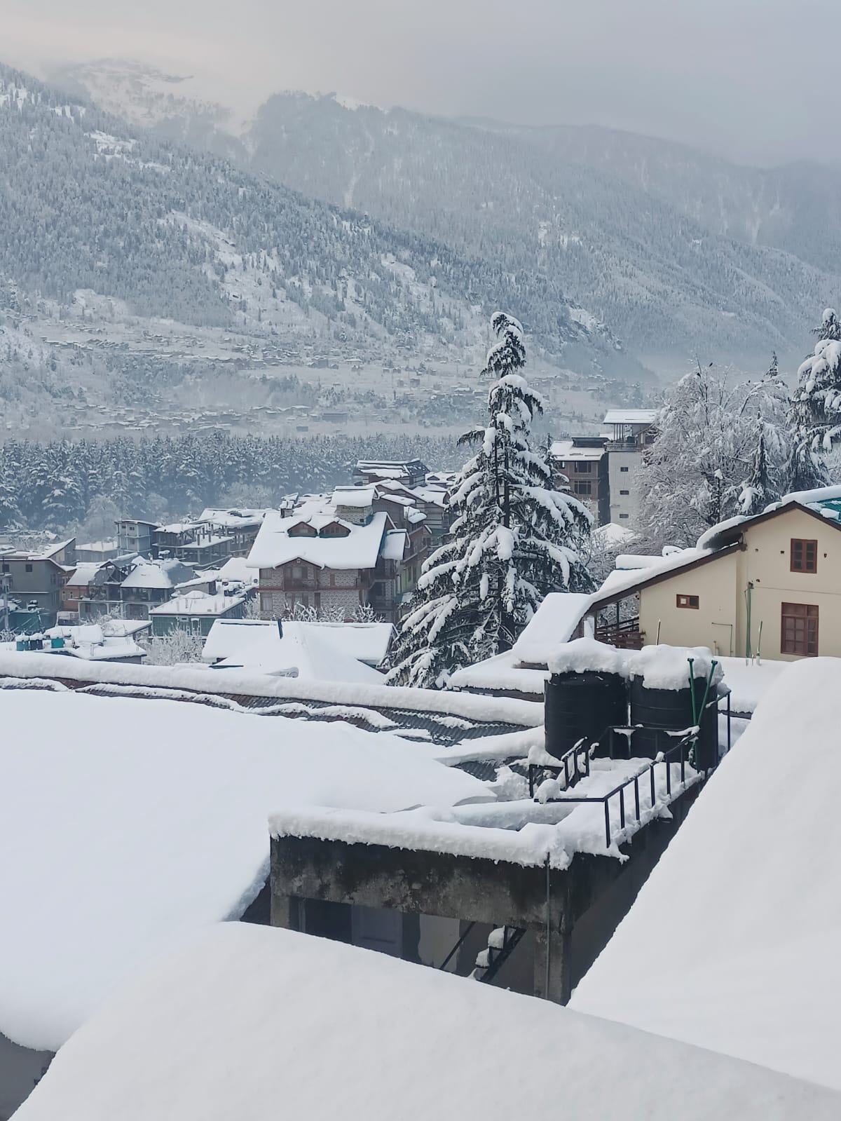 Snowfall in Manali