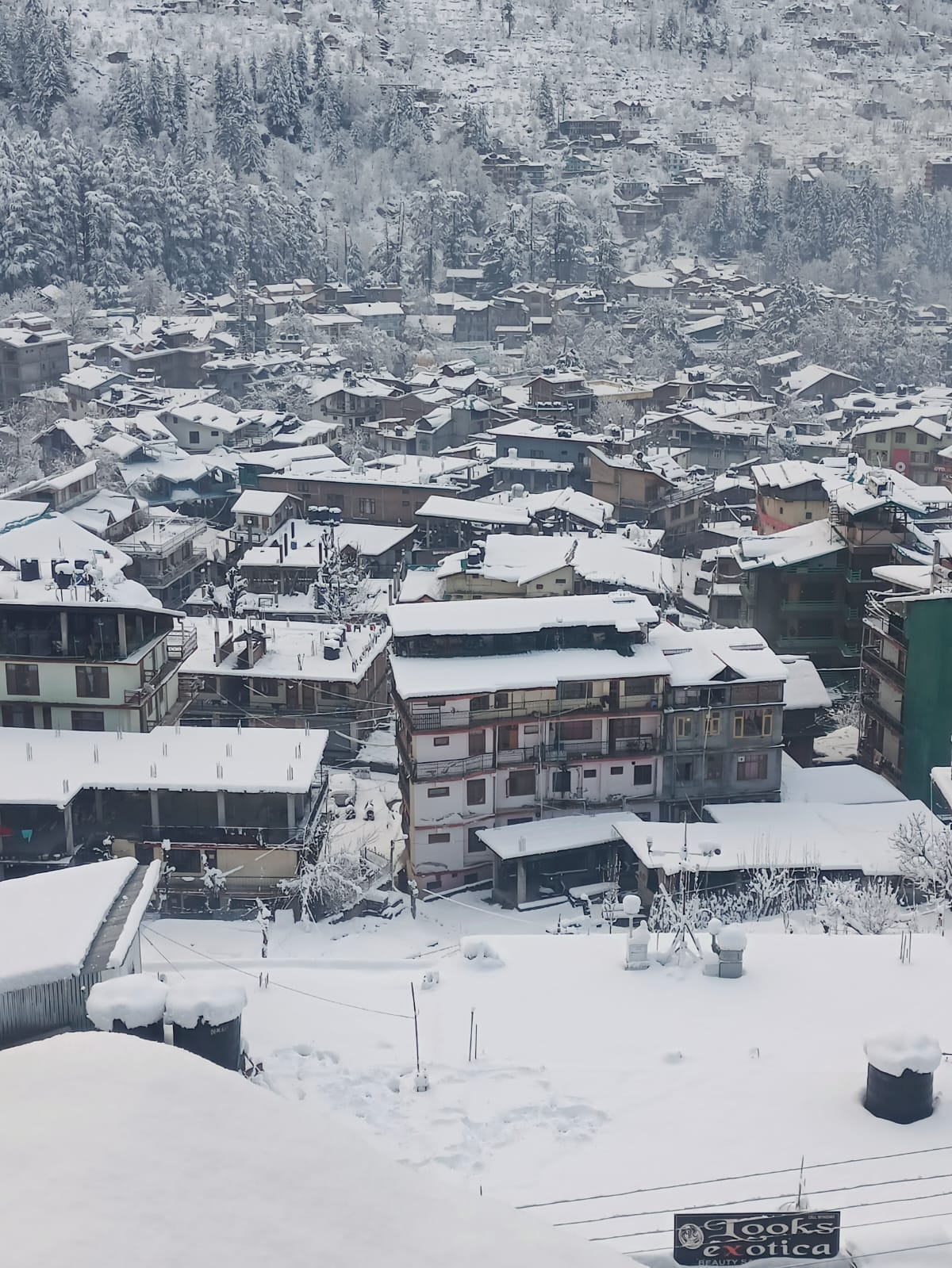 Snowfall in Manali