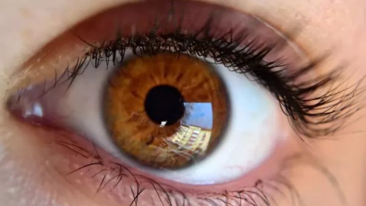 हल्की और मध्यम भूरी आंखें