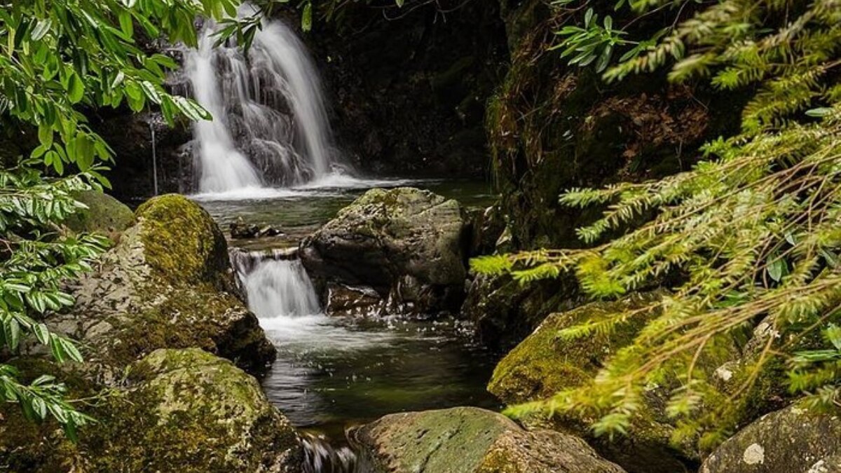 काउंटी डाउन