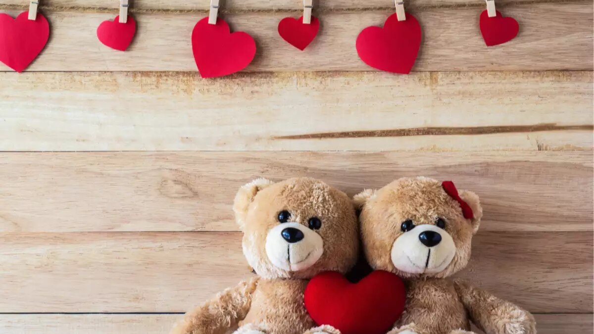 टेडी डे  टेडी डे