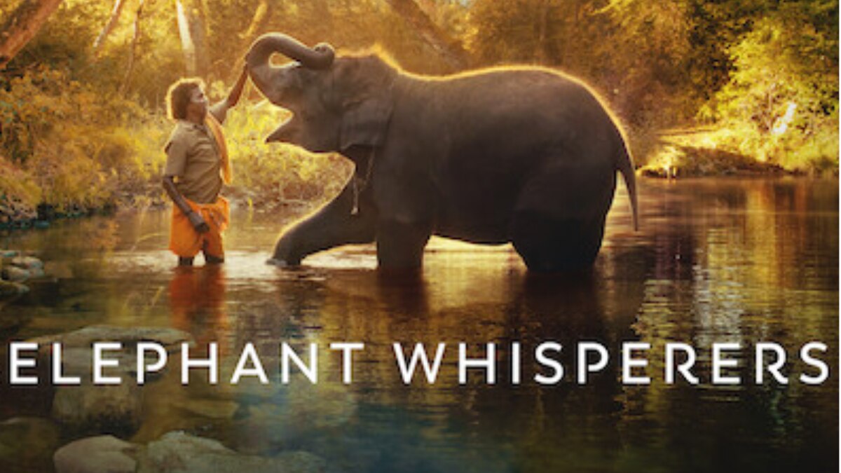 The Elephant Whisperers  The Elephant Whisperers