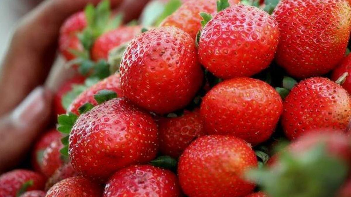 स्ट्रॉबेरी