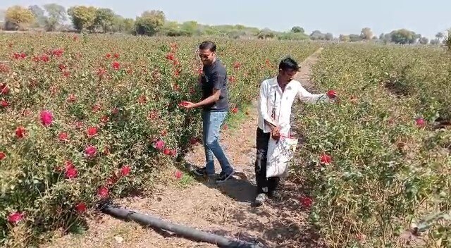 कोटा में खेती कर रहे हैं कपिल जैन