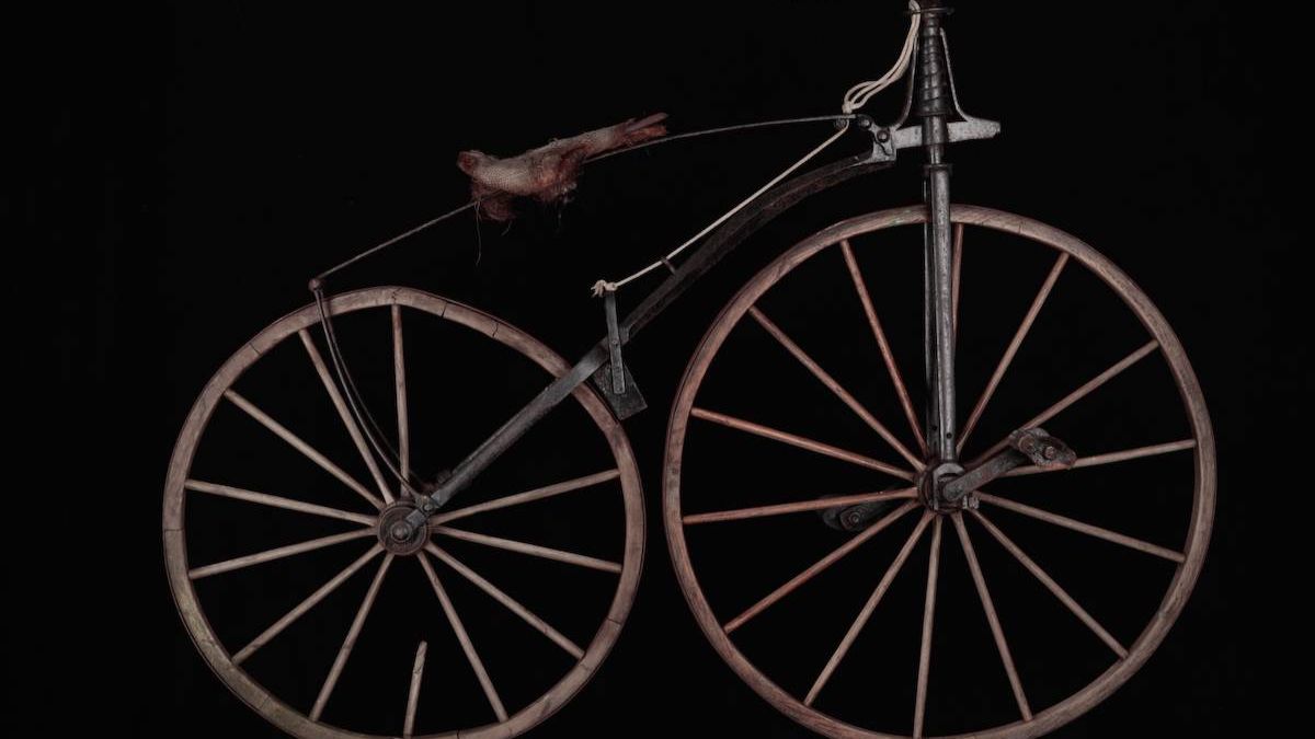 वर्ल्ड साइकिल डे 