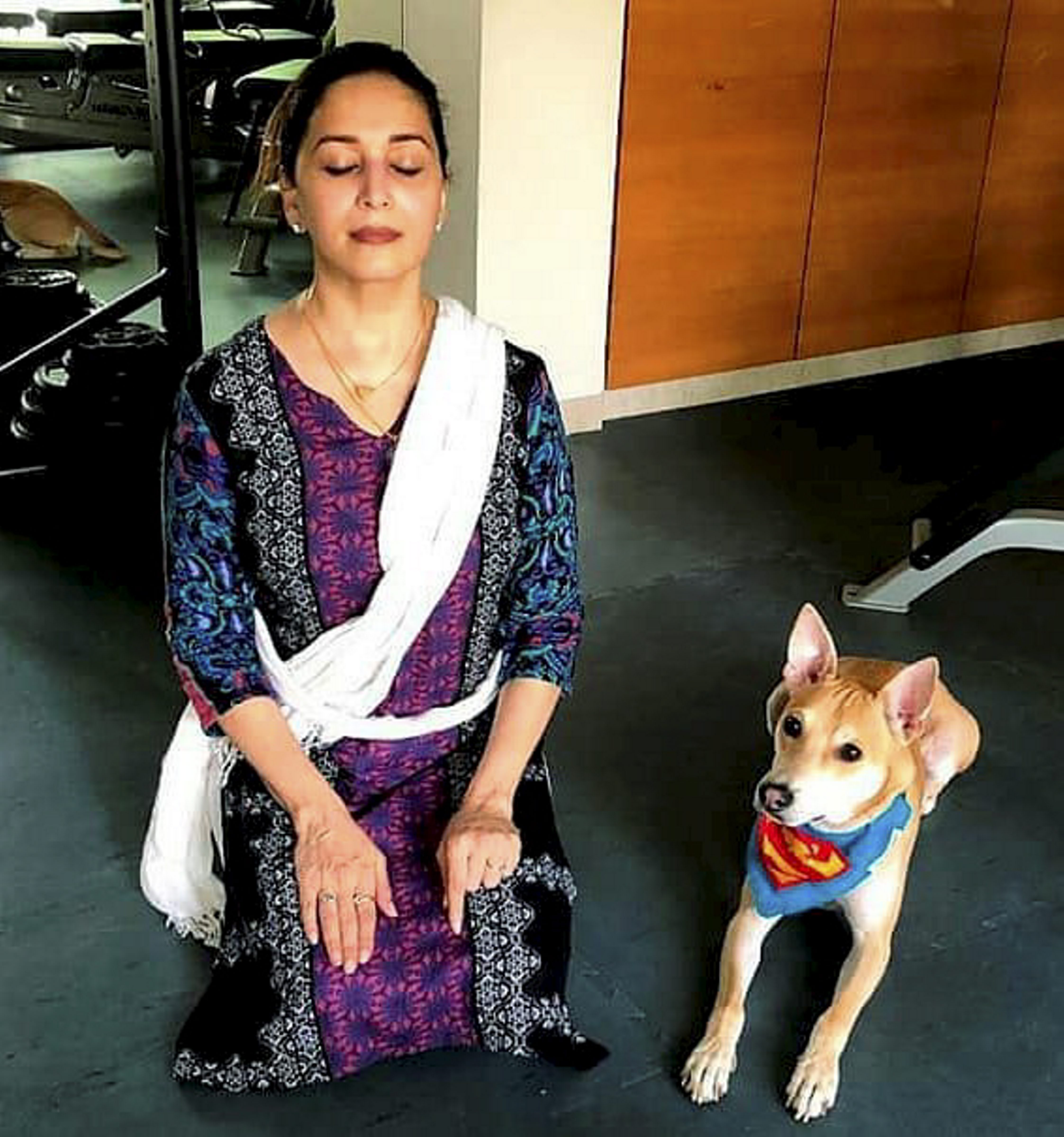 माधुरी दीक्षित का योग (Photo/Twitter)