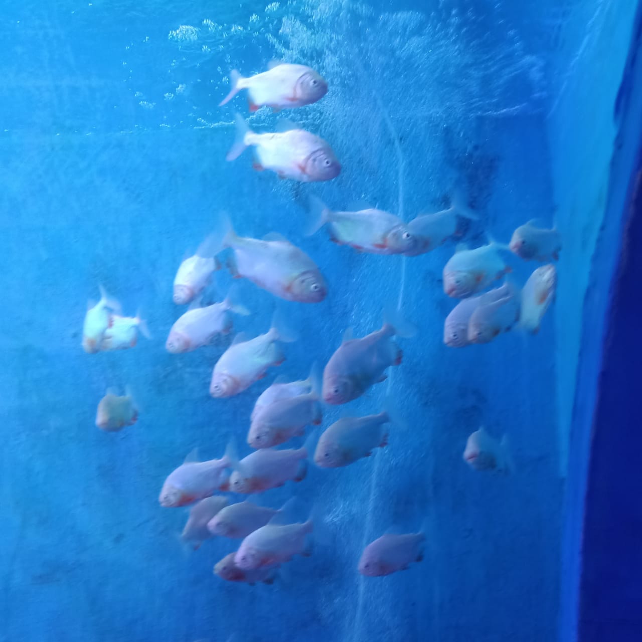 जल सुरंग