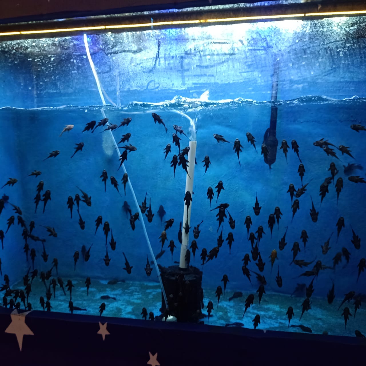 जल सुरंग 