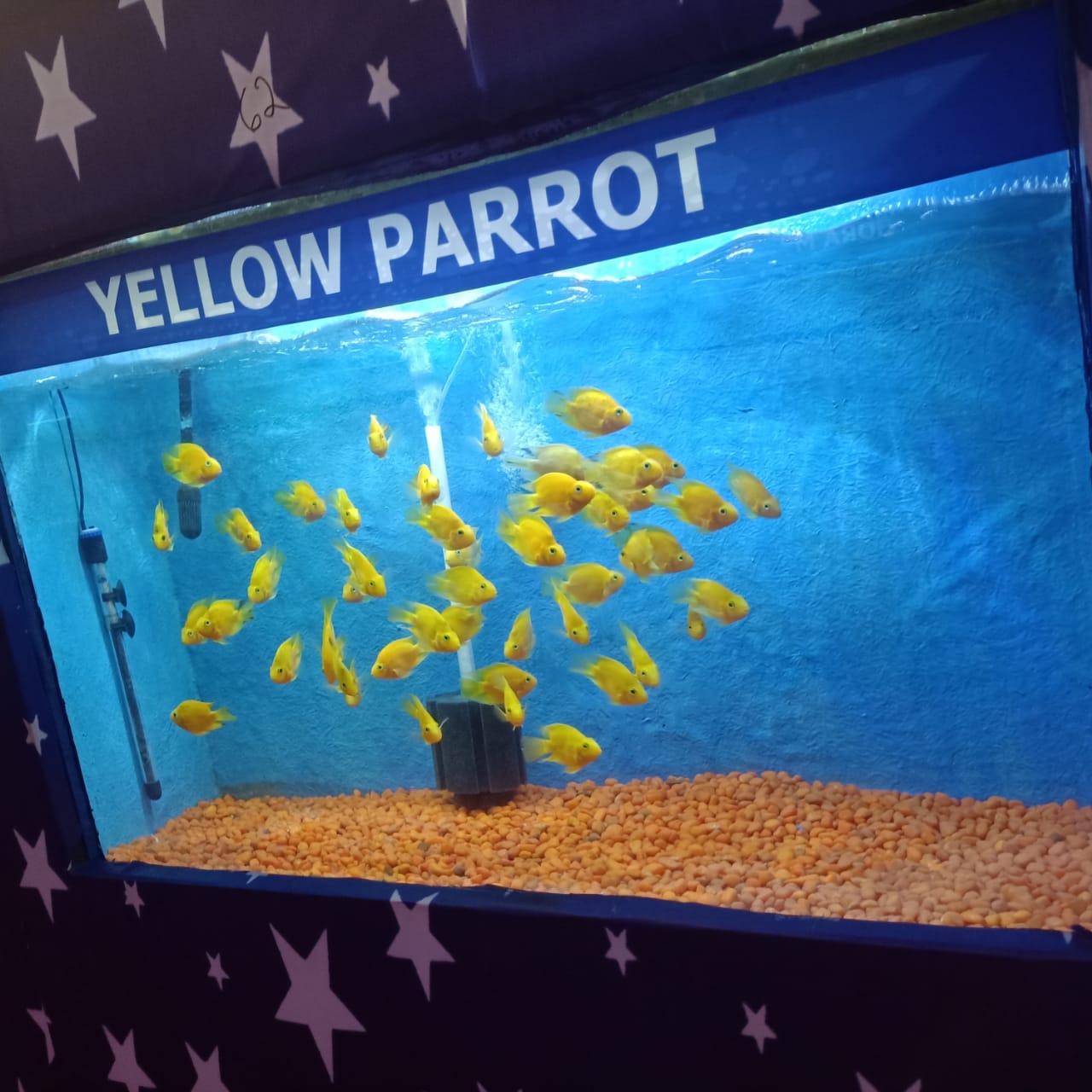 जल सुरंग