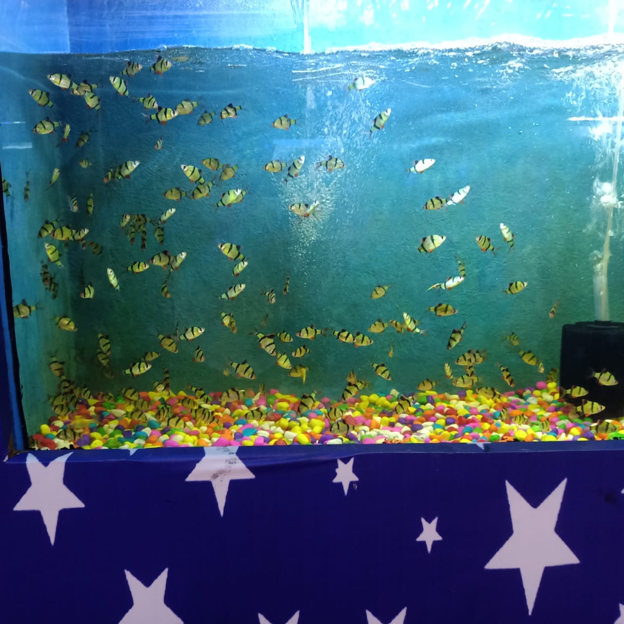 जल सुरंग