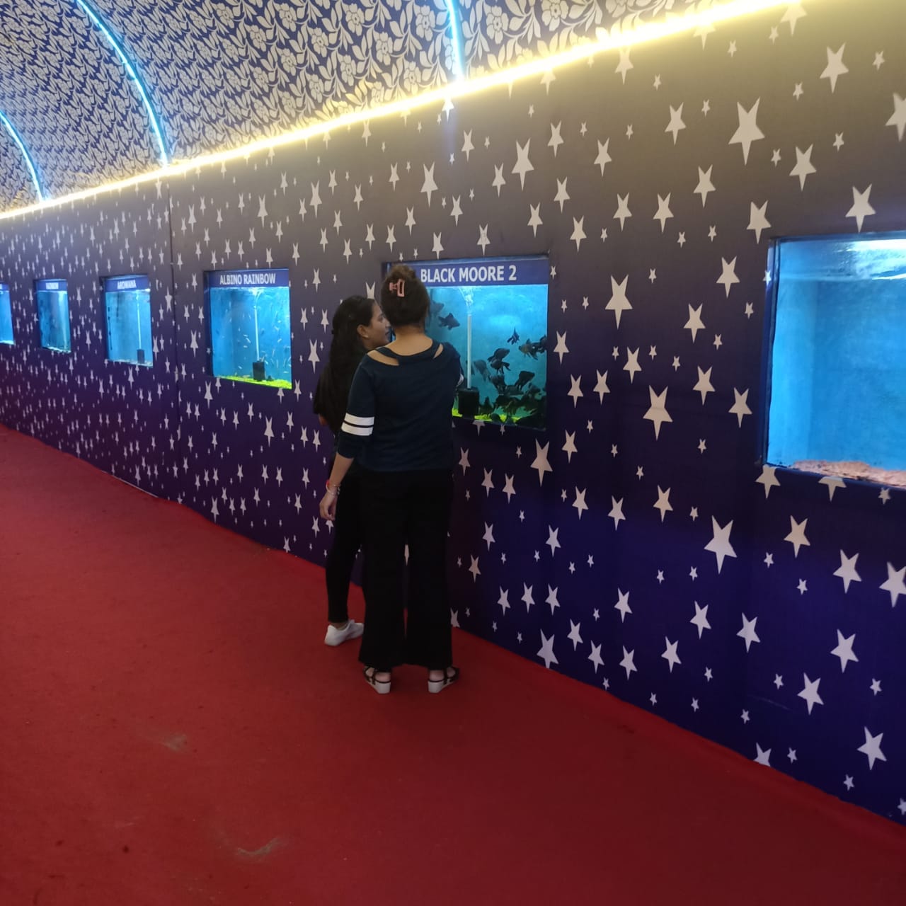 जल सुरंग