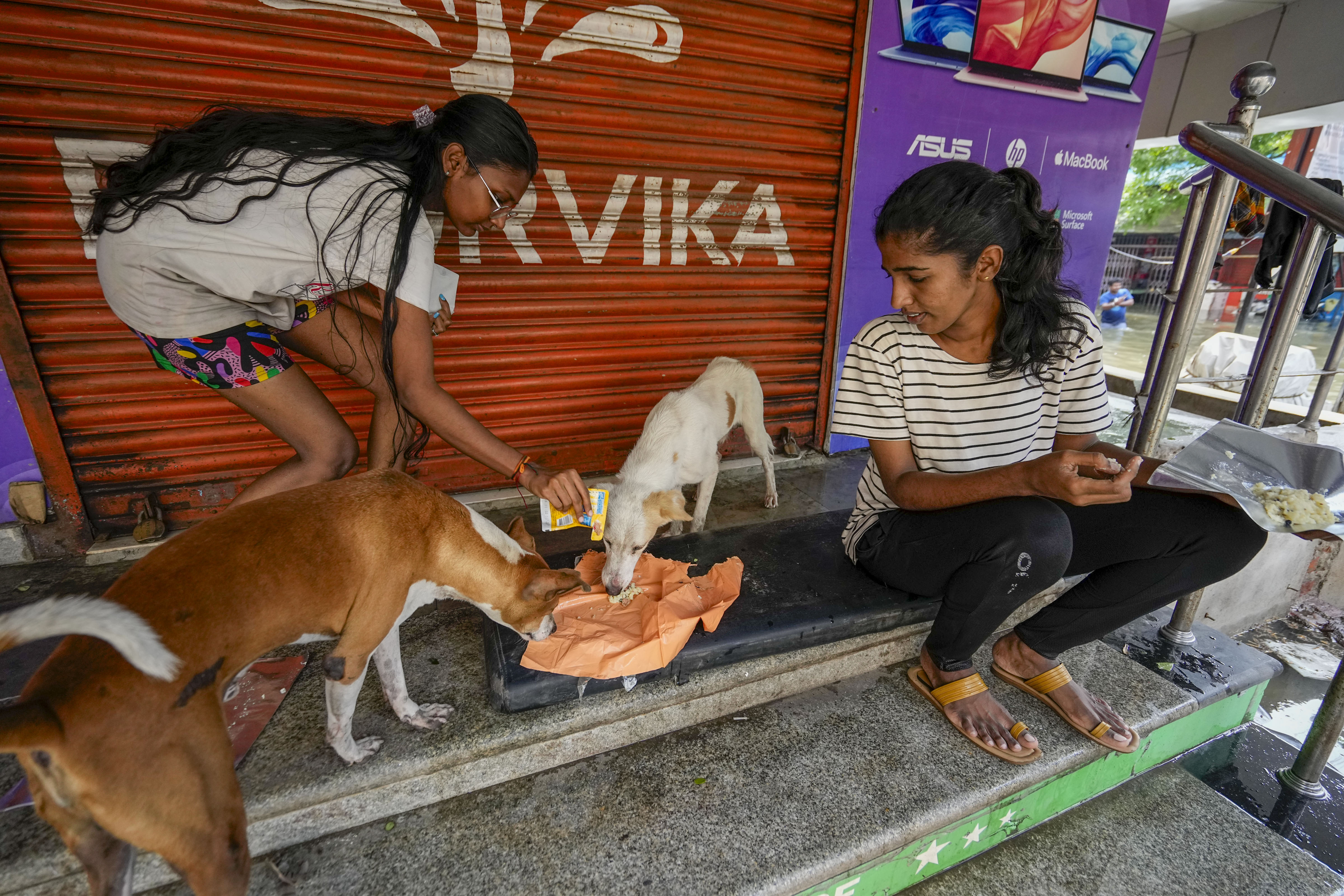 तूफान का असर