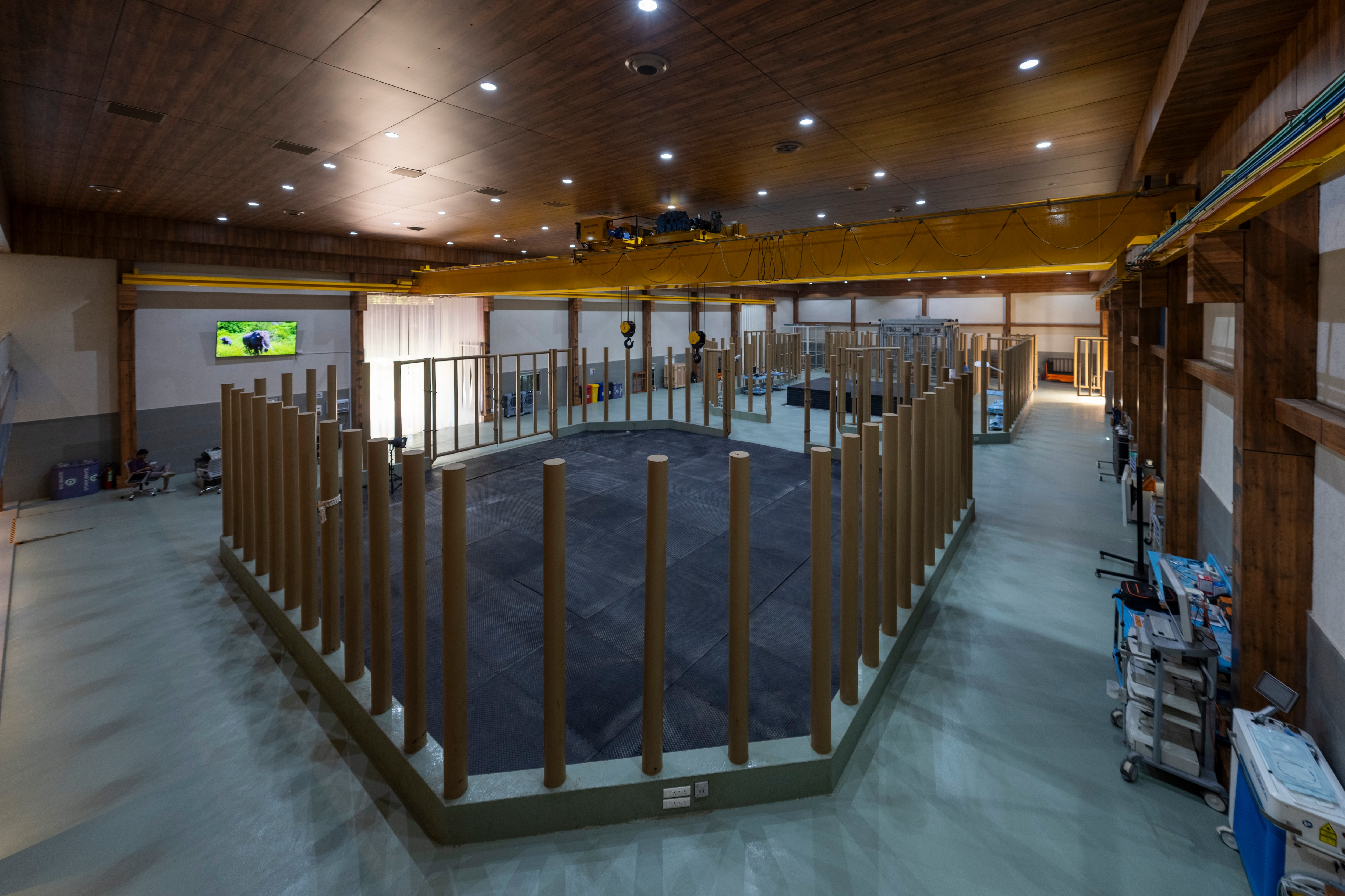 वंतारा प्रोजेक्ट