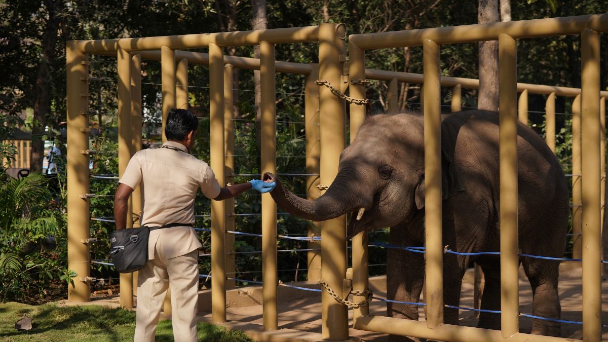 वंतारा प्रोजेक्ट