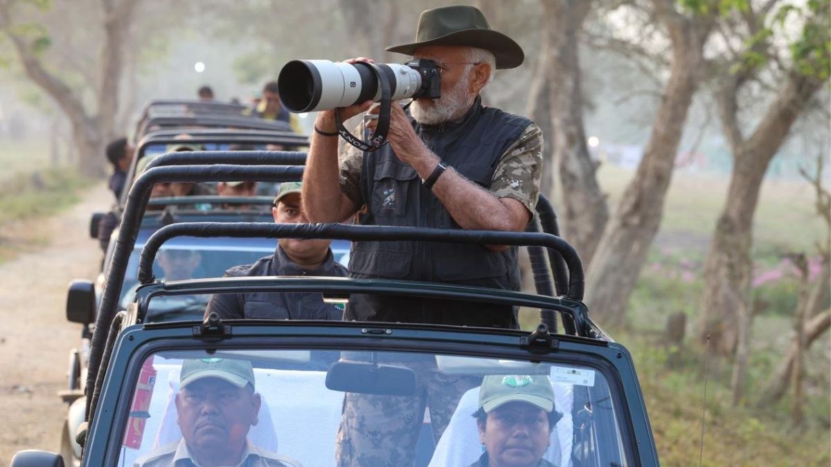 प्रधानमंत्री नरेंद्र मोदी 