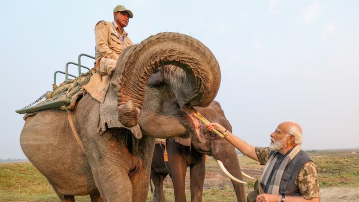 पीएम मोदी