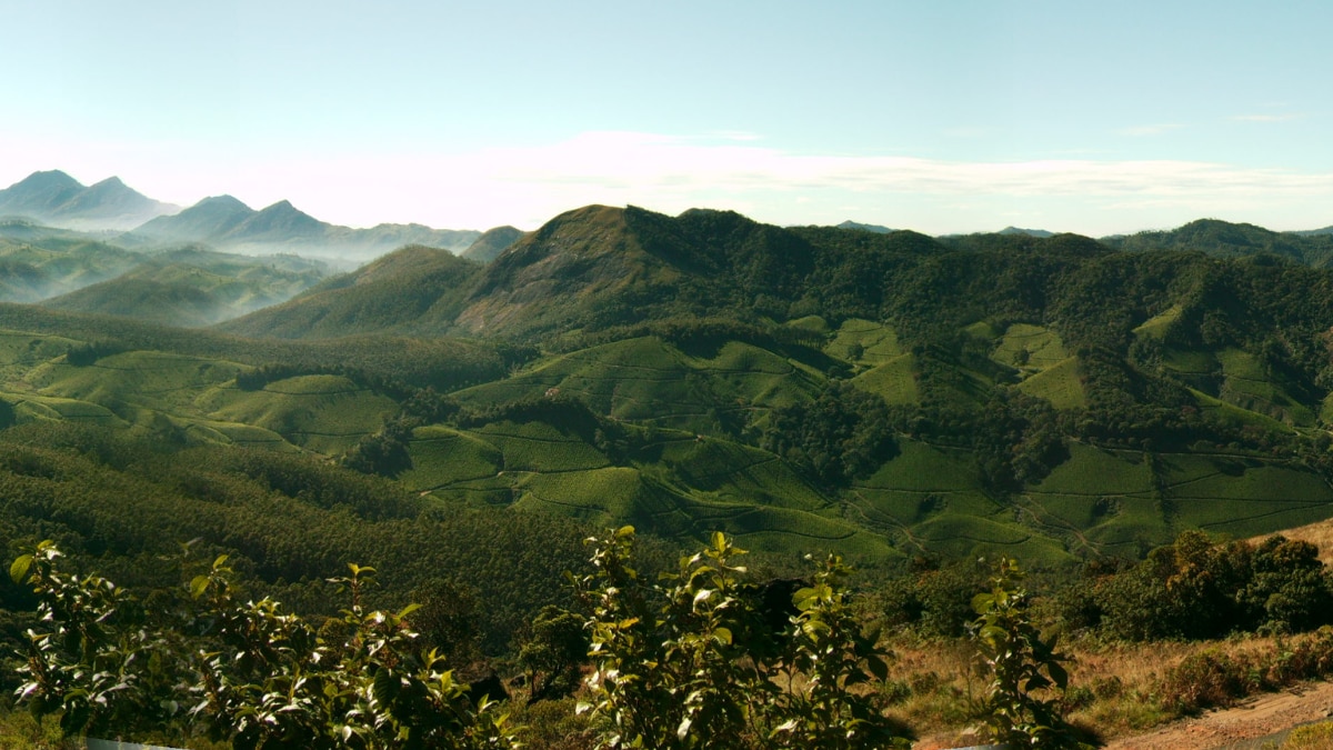 munnar
