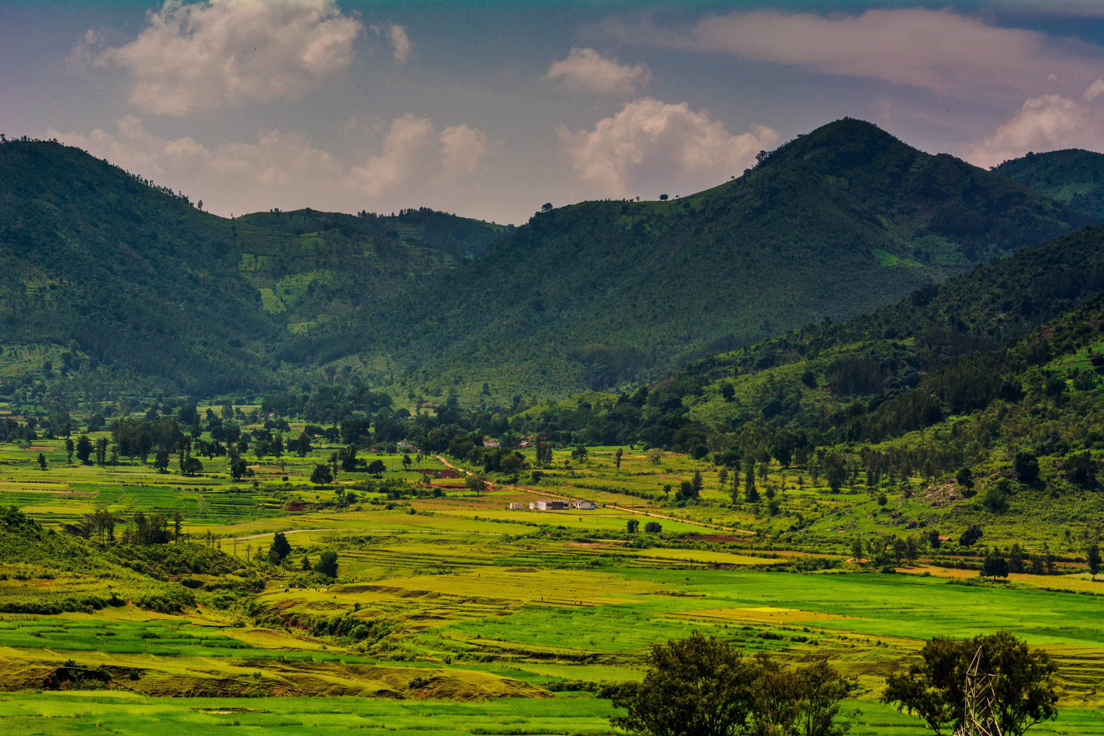 Araku Valley Andhra Pradesh