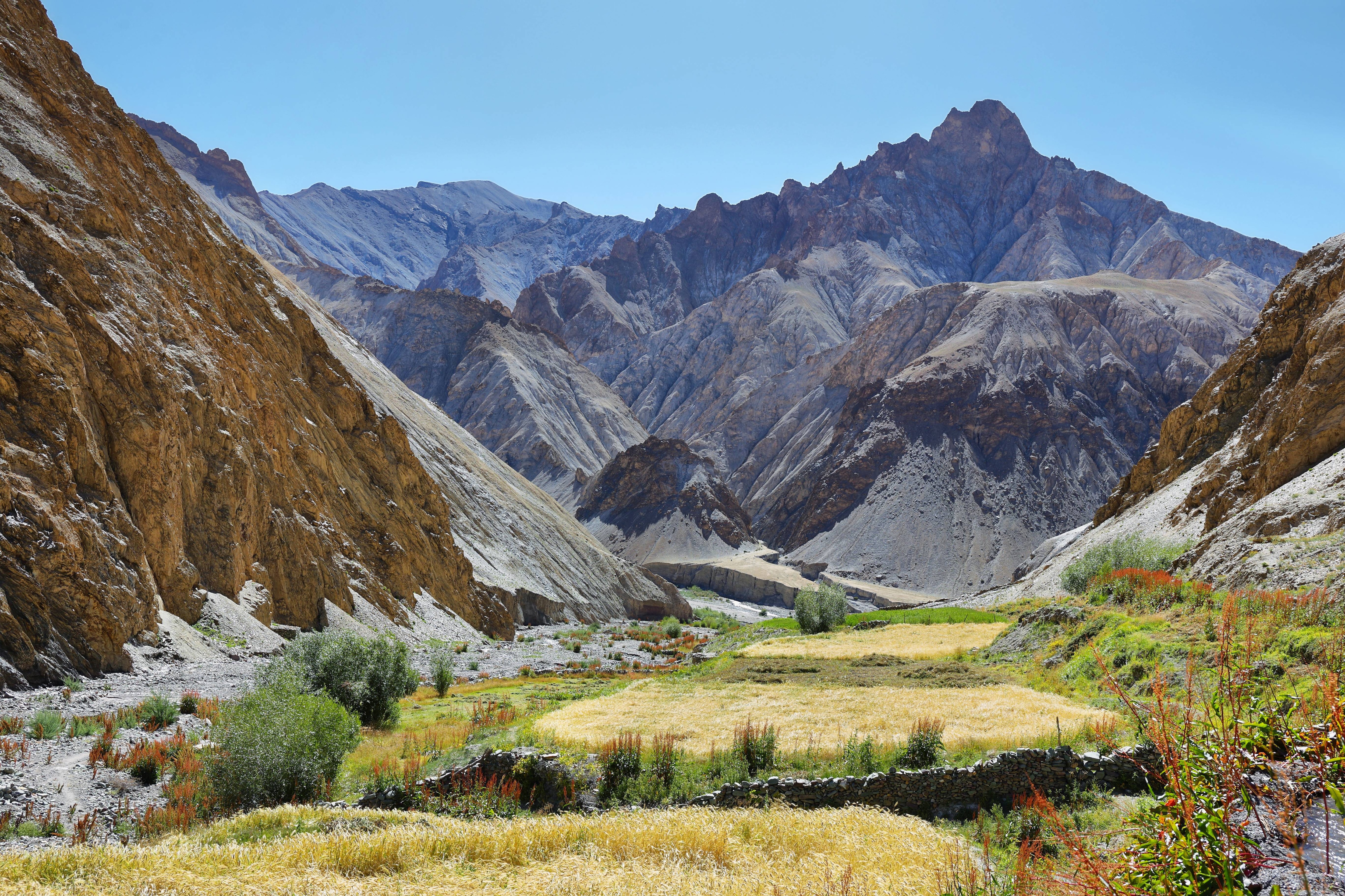 Markha valley Ladakh