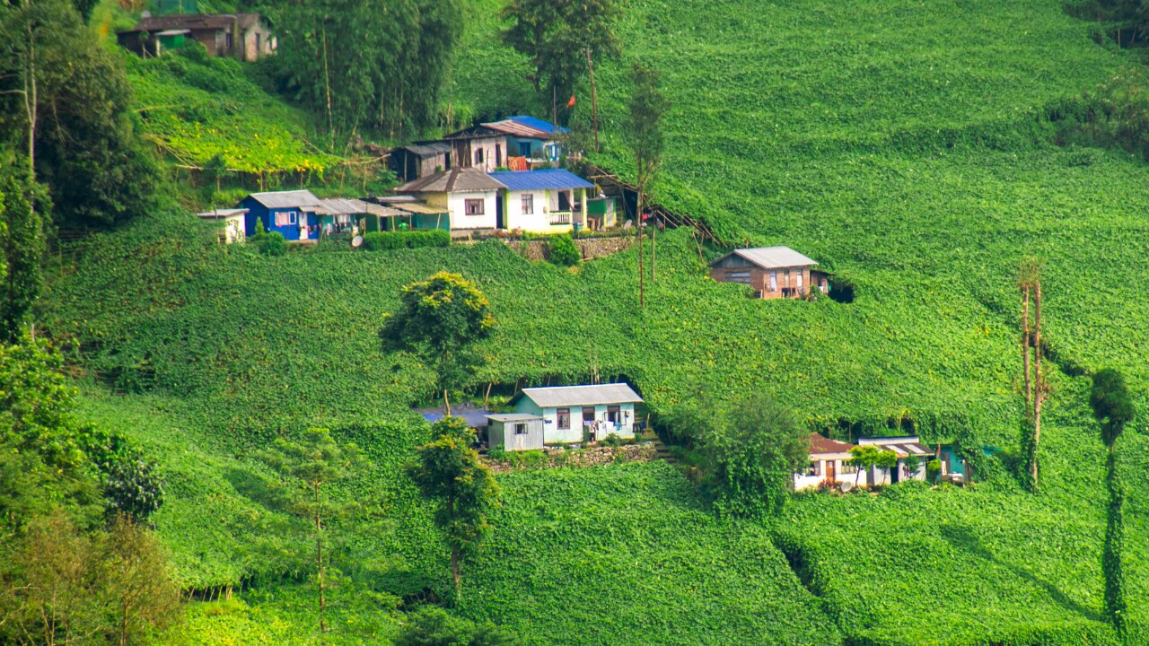 Merak Village Ladakh