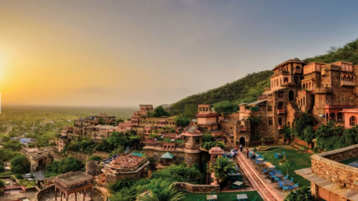 Neemrana Neemrana