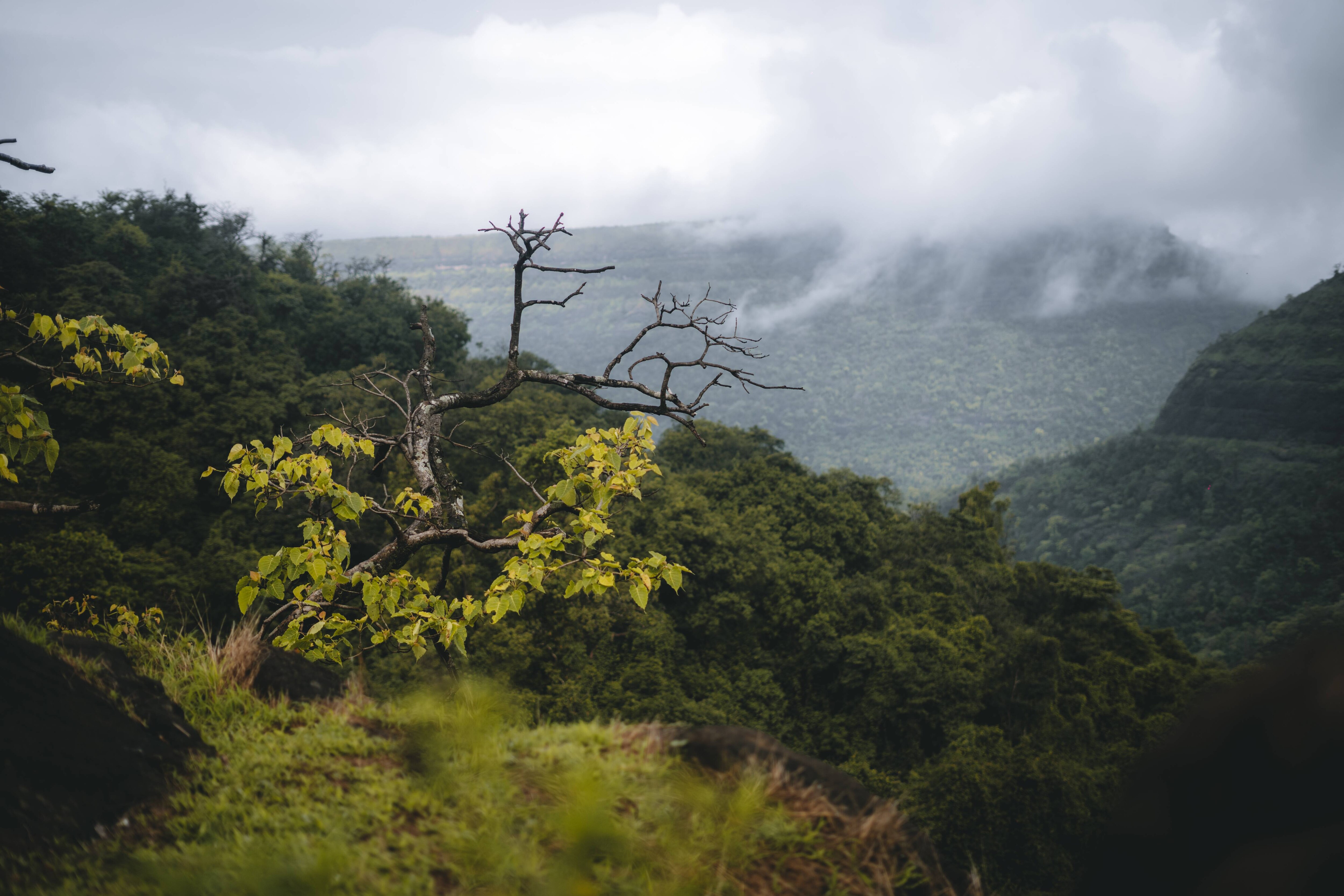 Panchgani Travel Panchgani Travel