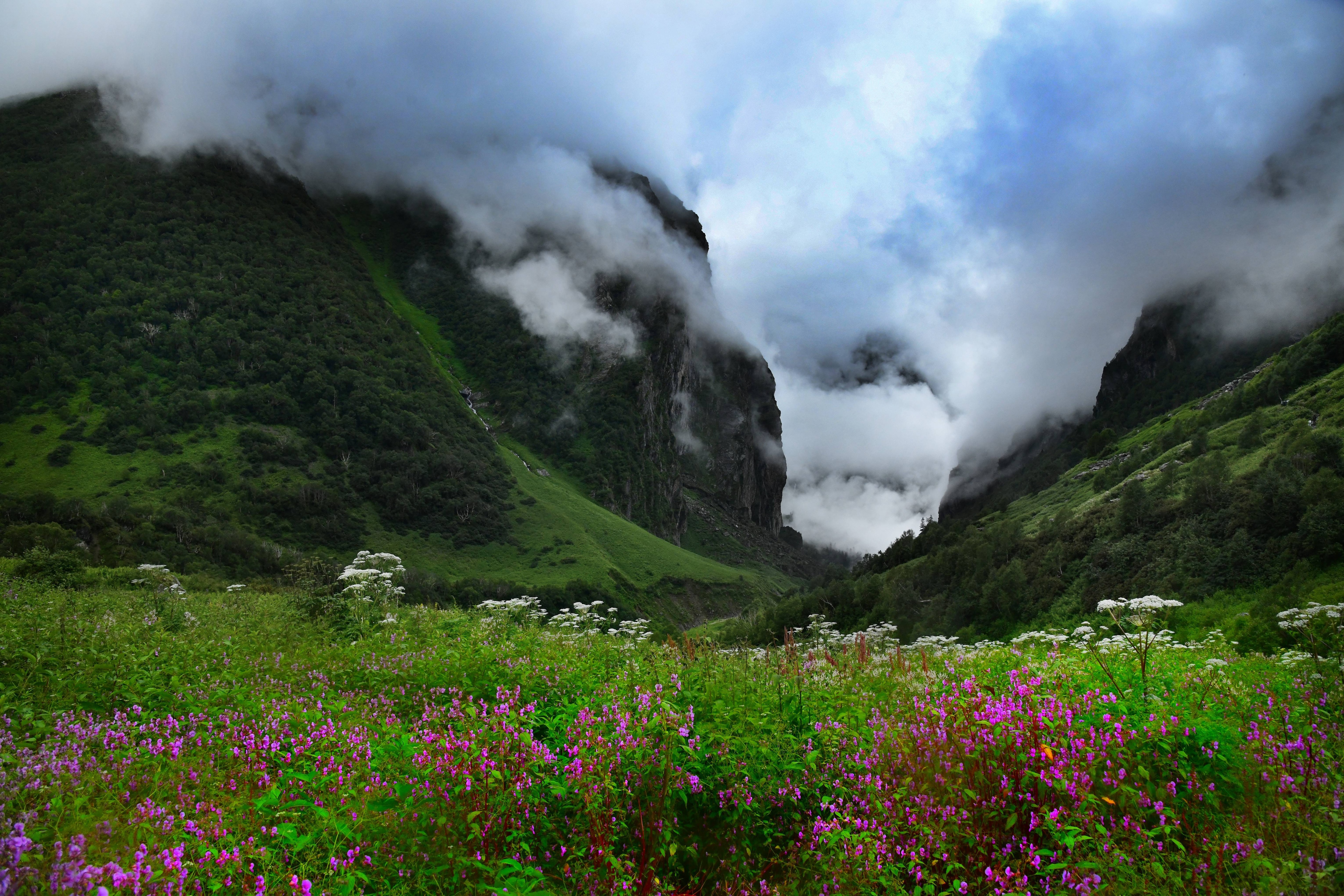 Valley of Flowers Uttrakhand