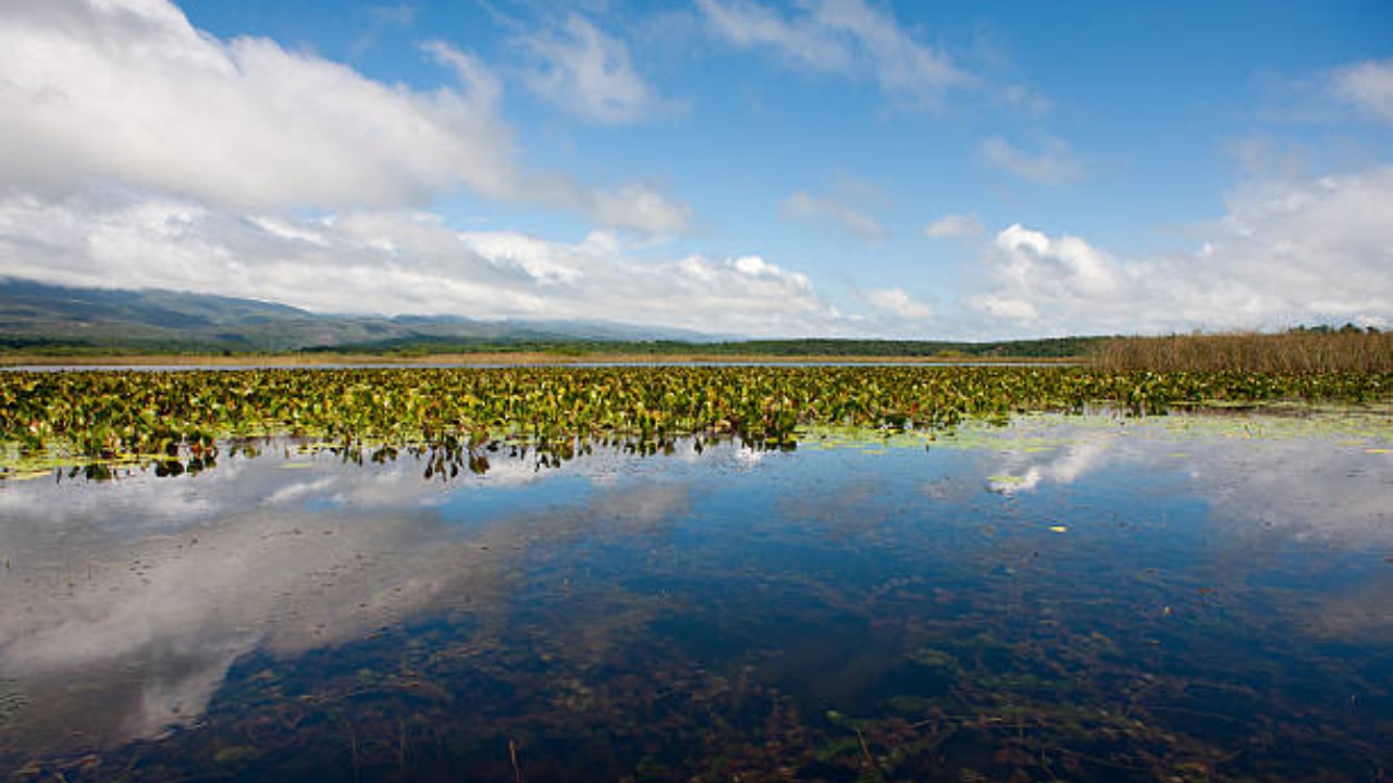 Singanallur Lake Singanallur Lake