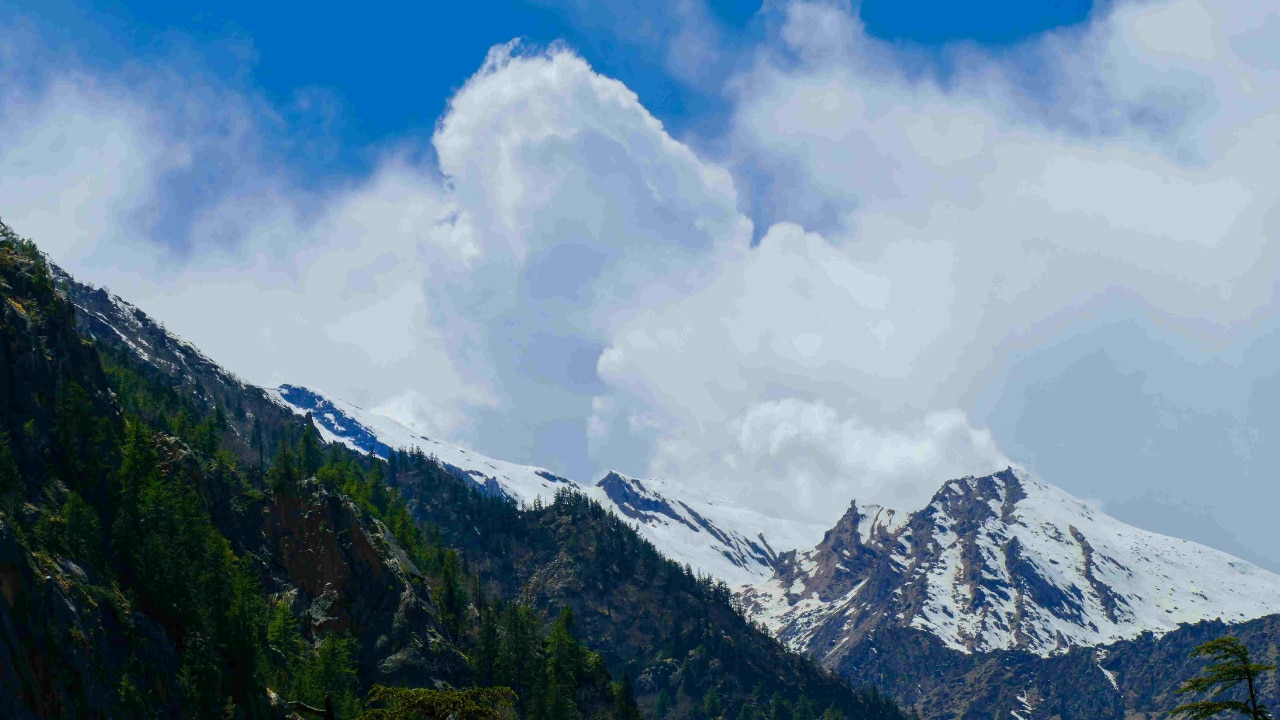 Best Time for Nelong