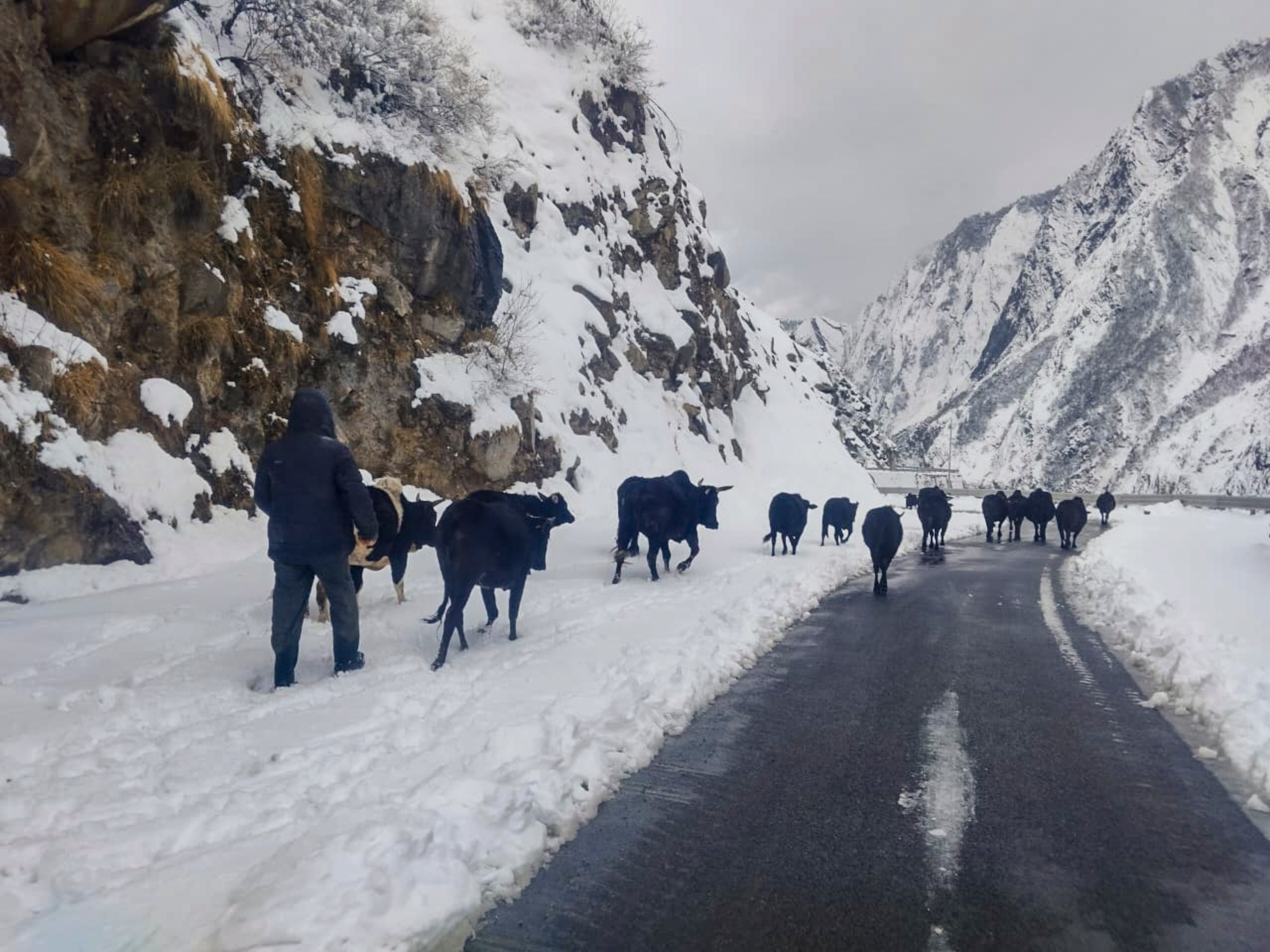 चमोला में बर्फबारी (Photo/PTI)