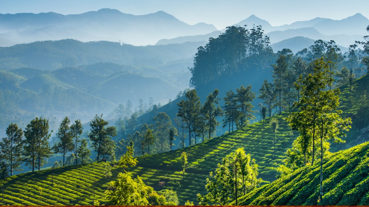 Munnar Travel Places