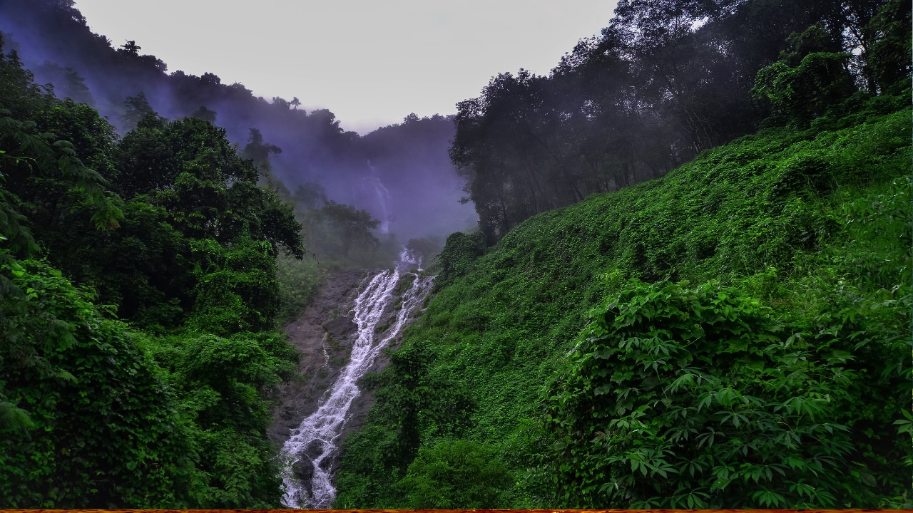 Thekkady Travel Places