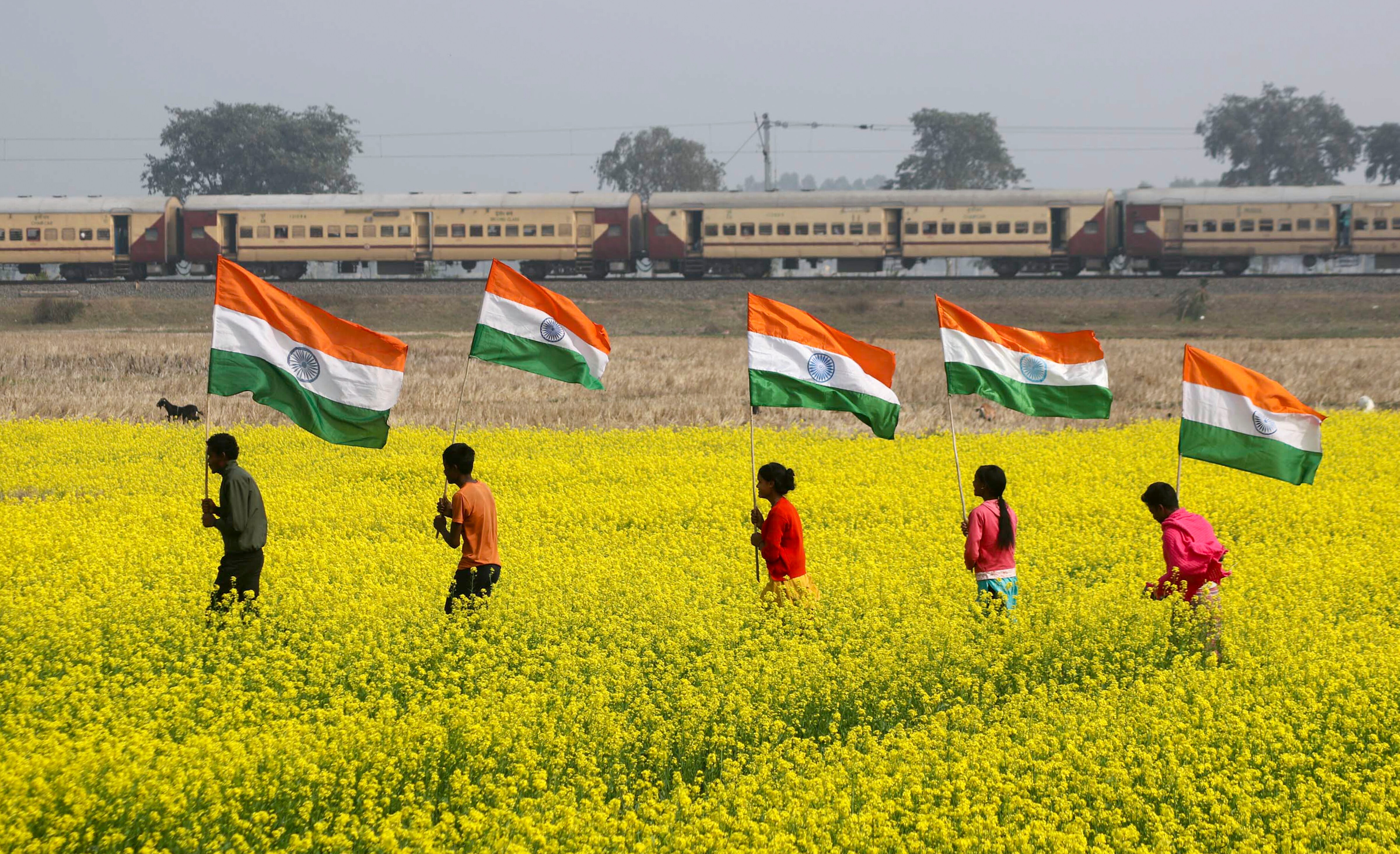 Republic day 2025 (Photo PTI)