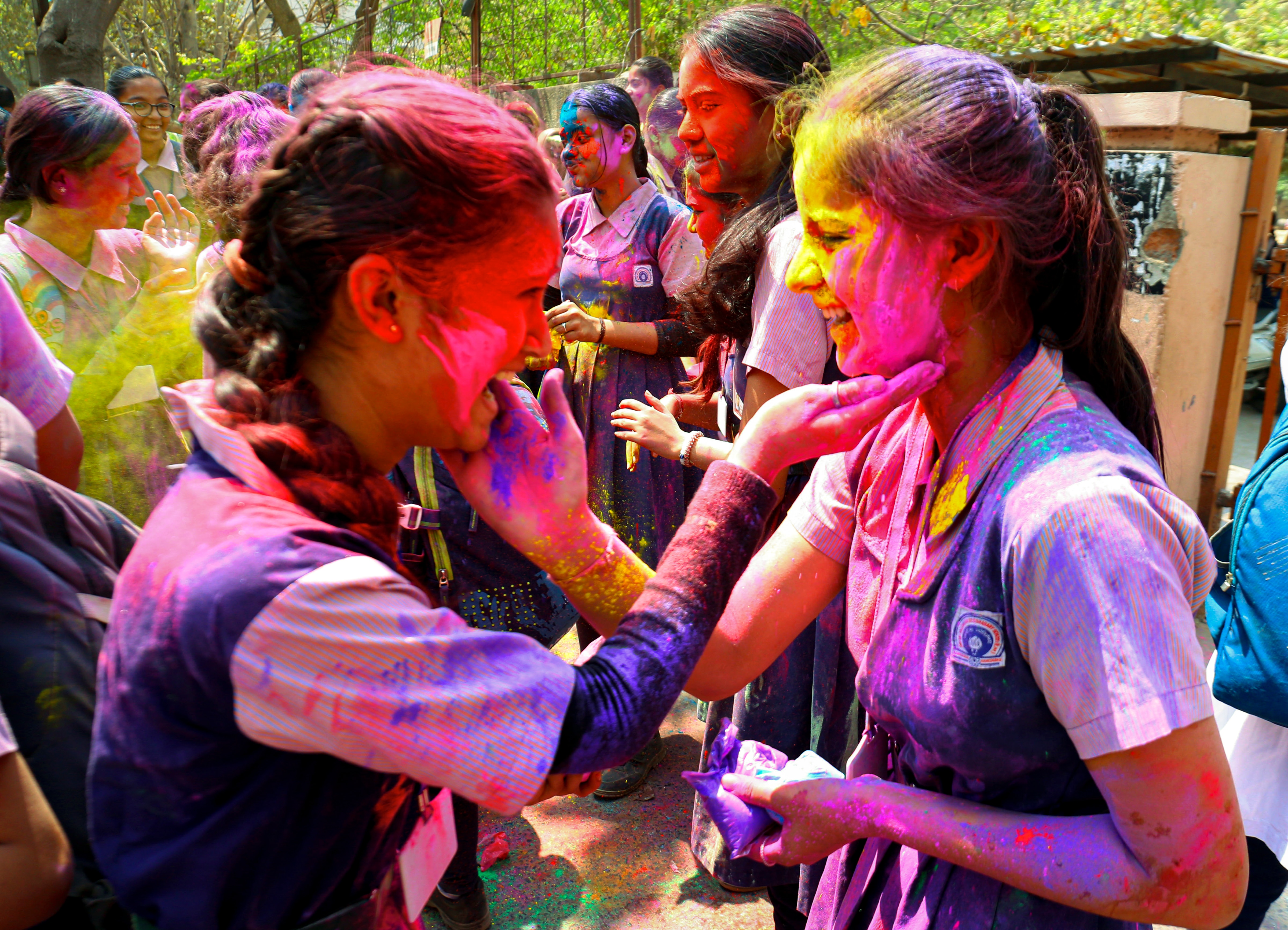 Holi Festival 2025 (Photo/PTI) Holi Festival 2025 (Photo/PTI)