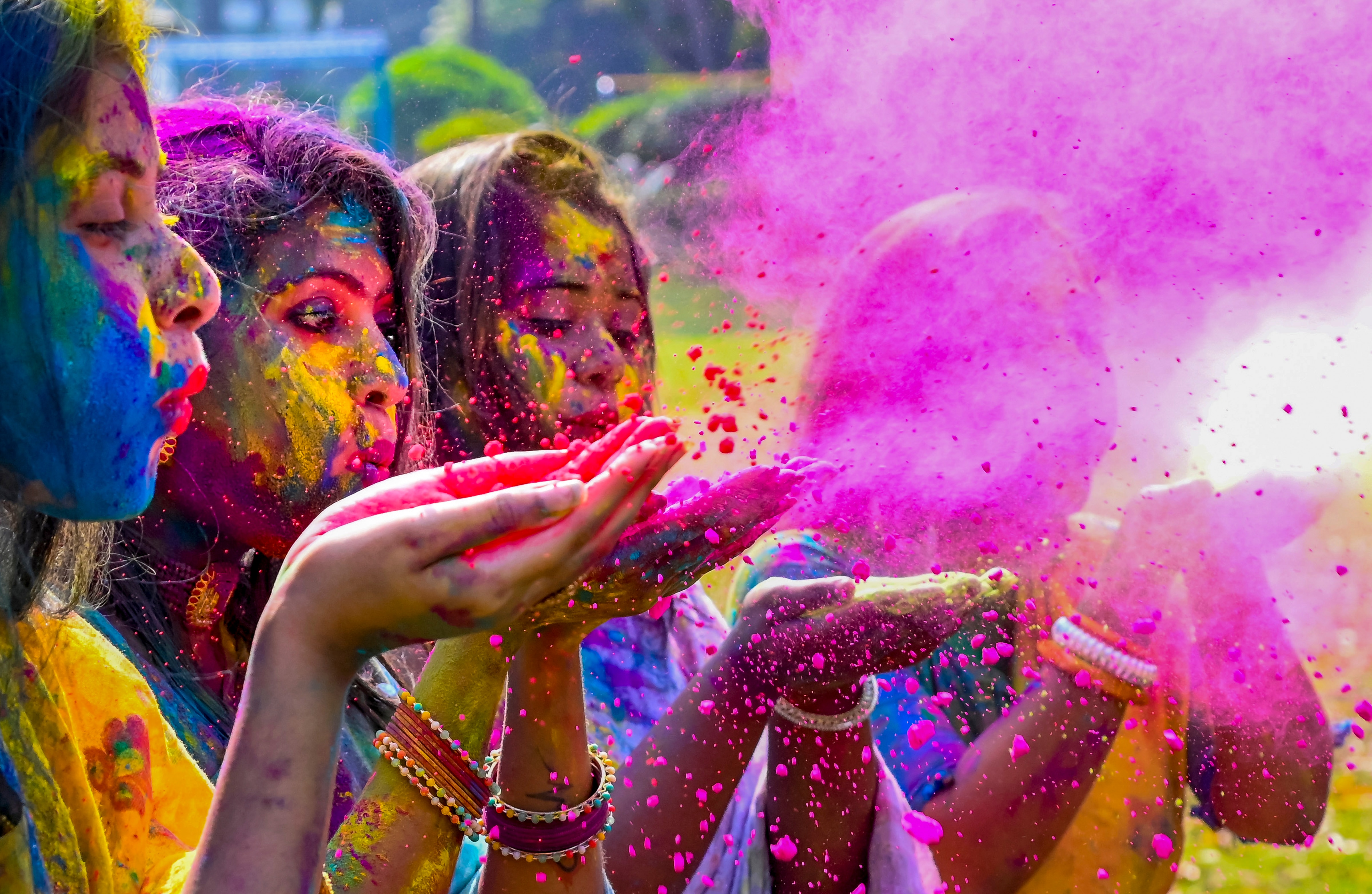Holi Festival 2025 (Photo/PTI) Holi Festival 2025 (Photo/PTI)