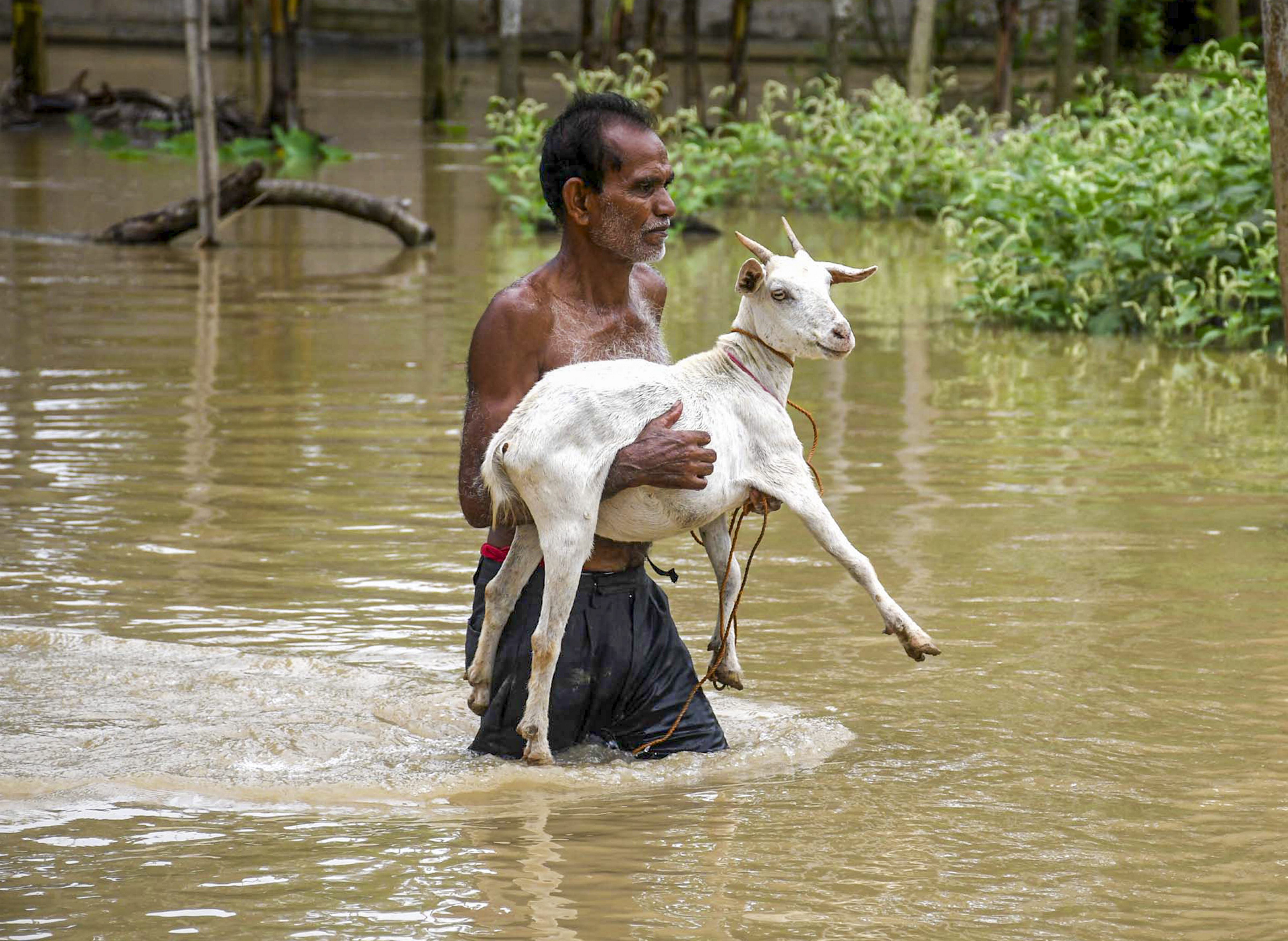 North-East Floods (Photo/PTI) North-East Floods (Photo/PTI)