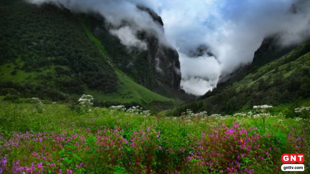 Valley of Flowers Uttarakhand Valley of Flowers Uttarakhand