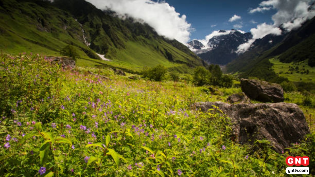 Valley of Flowers Best Time Valley of Flowers Best Time