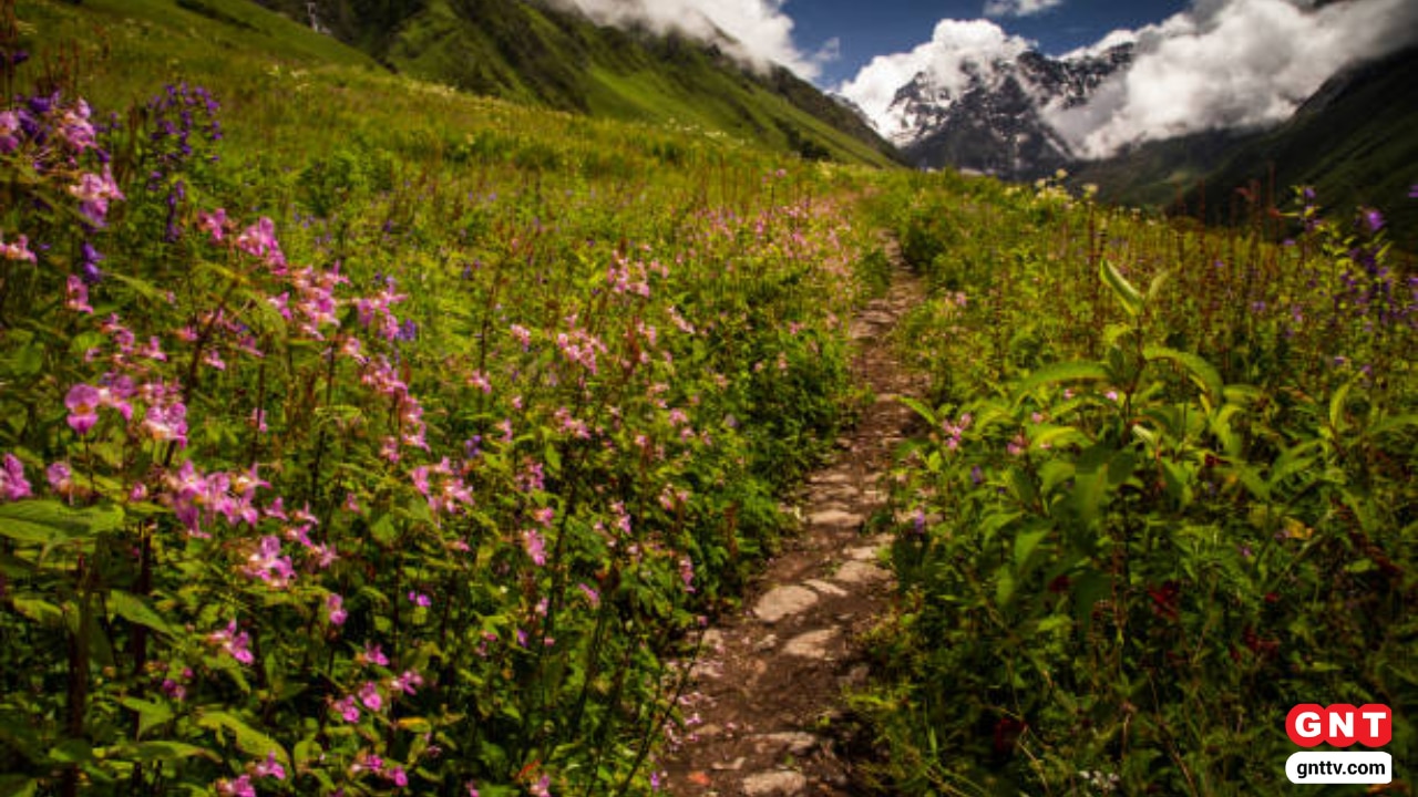 Valley of Flowers 2025 Valley of Flowers 2025