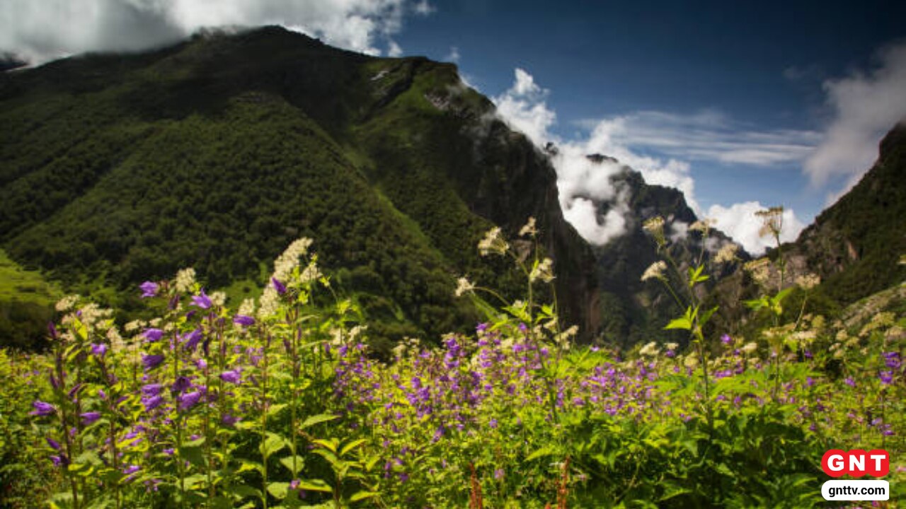 valley of flowers Tips valley of flowers Tips