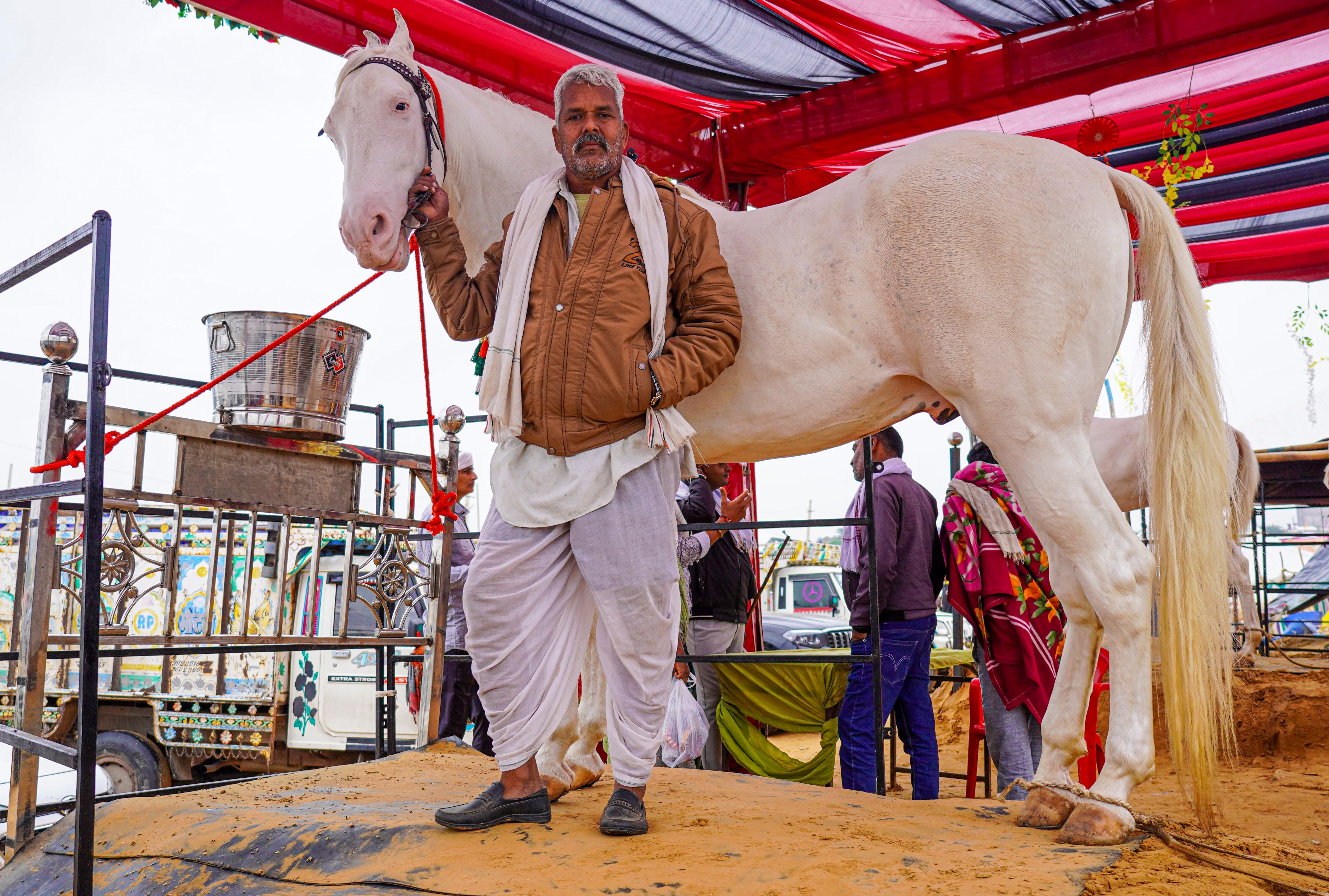 11 करोड़ का घोड़ा 11 करोड़ का घोड़ा