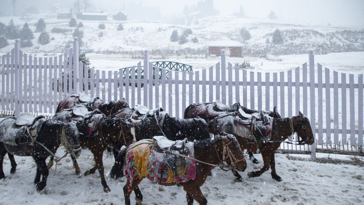 कश्मीर में पहली बर्फबारी