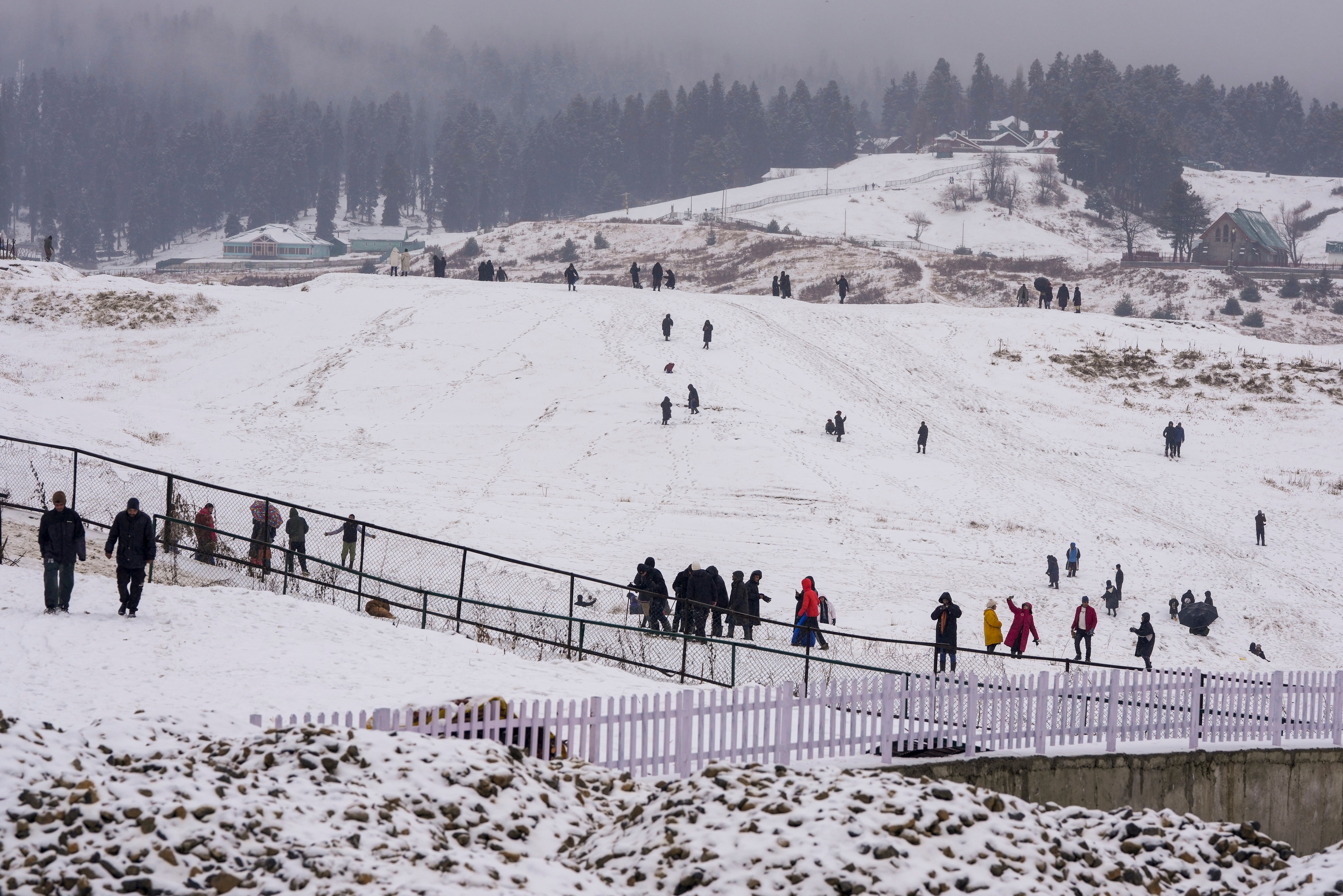 Kashmir Snowfall (Photo/PTI)
